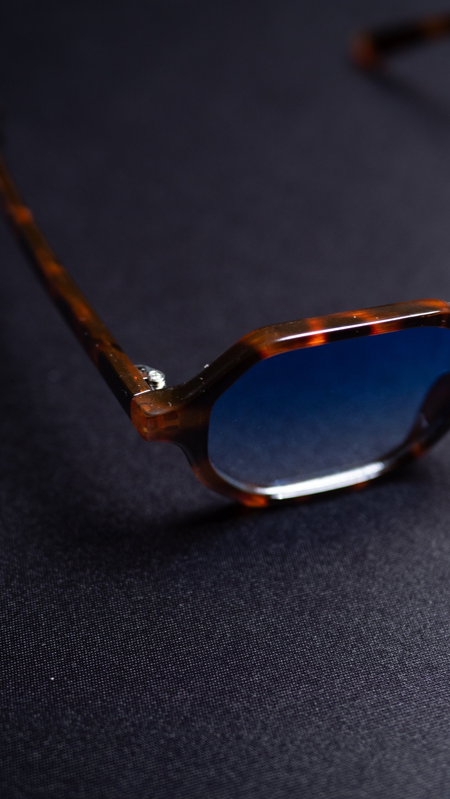 Leo Sunglasses Blue